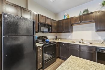Sleek Energy Star Black on Black Appliances